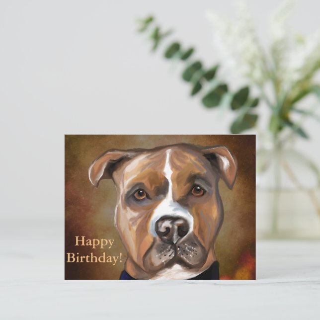 CARTE POSTALE AMERICAN STAFFORDSHIRE TERRIER  (Debout devant)