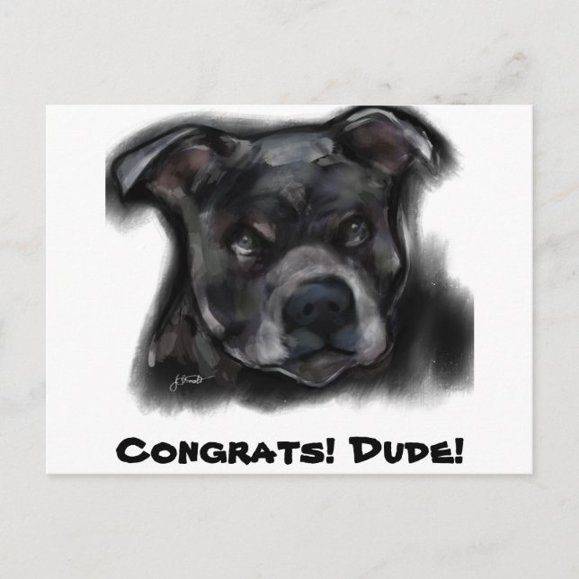 Carte Postale American Staffordshire Terrier (Devant)