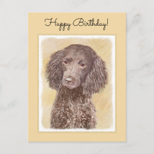 Carte Postale American Water Spaniel Peinture - Original Dog Art