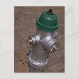 Carte Postale Americana (hydrant), Floride, États-Unis