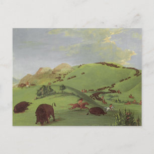 Carte Postale Amérindiens vintages, chasse à Buffalo par Catlin