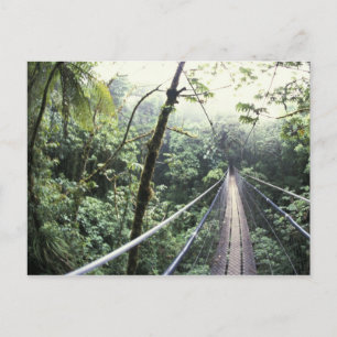 Carte Postale Amérique centrale, Costa Rica, Monteverde Cloud