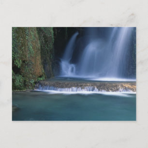 Carte Postale Amérique du Nord, États-Unis, Arizona, Havasu Cany