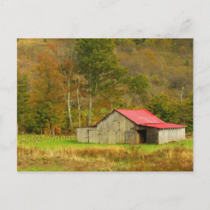 Carte Postale Amérique du Nord, États-Unis, Caroline du Nord, ru