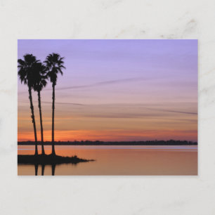 Carte Postale Amérique du Nord, États-Unis, Floride, Mont Dora, 
