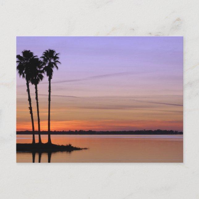 Carte Postale Amérique du Nord, États-Unis, Floride, Mont Dora,  (Devant)