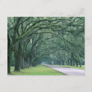 Carte Postale Amérique du Nord, États-Unis, Géorgie, Savannah,