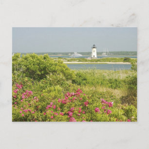 Carte Postale Amérique du Nord, États-Unis, Massachusetts, Marth