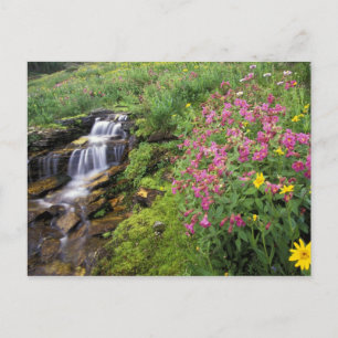 Carte Postale Amérique du Nord, États-Unis, Montana, Glacier Nat