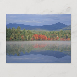Carte Postale Amérique du Nord, États-Unis, NH, Chute reflet dan