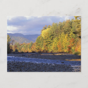 Carte Postale Amérique du Nord, États-Unis, NH, Saco River. Cobb
