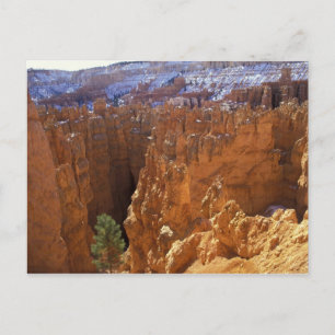 Carte Postale Amérique du Nord, États-Unis, Utah, Bryce Canyon 2