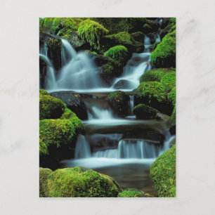 Carte Postale Amérique du Nord; États-Unis; Washington, Cascade 
