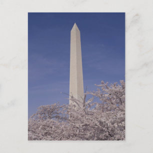 Carte Postale Amérique du Nord, États-Unis, Washington D.C.. Was
