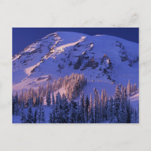 Carte Postale Amérique du Nord, États-Unis, Washington, Mt Raini