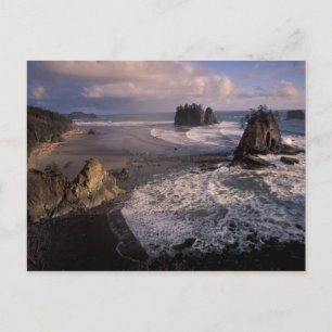 Carte Postale Amérique du Nord, États-Unis, Washington, Parc nat