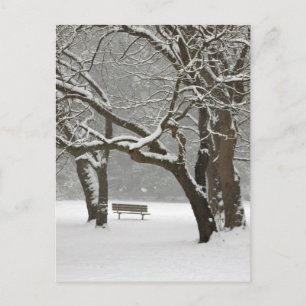 Carte Postale Amérique du Nord, États-Unis, Washington, Seattle,