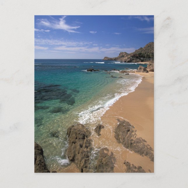 Carte Postale Amérique du Nord, Mexique, Basse Californie du Sud (Devant)