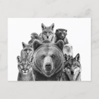 Amérique du Nord Prédateurs Animaux des forêts