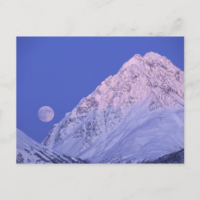 Carte Postale Amérique du Nord, USA, Alaska, Knik River, (Devant)