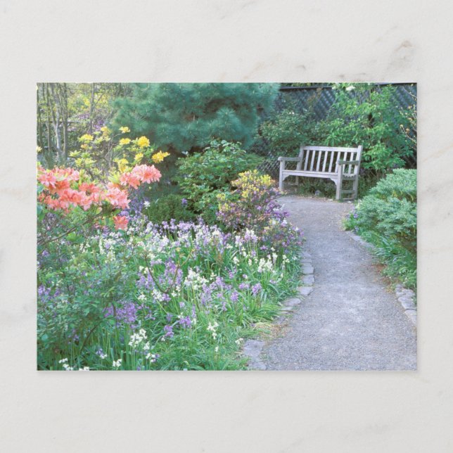 Carte Postale Amérique du Nord, USA, Etat de Washington, Seattle (Devant)