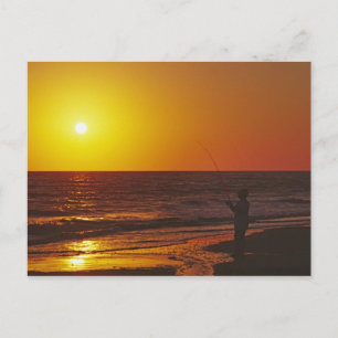 Carte Postale Amérique du Nord, USA, Floride, île de Sanibel.