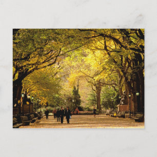 Carte Postale Amérique du Nord, USA, New York, New York. 12