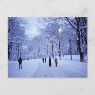 Carte Postale Amérique du Nord, USA, New York, New York. 8