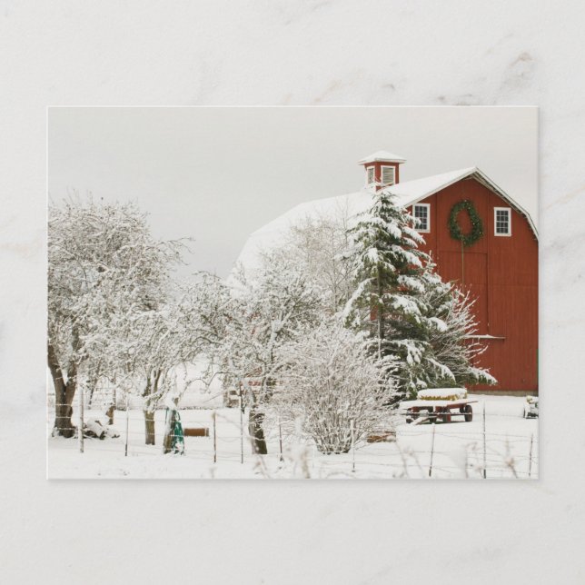 Carte Postale Amérique du Nord, USA, WA, Whidbey Island. (Devant)