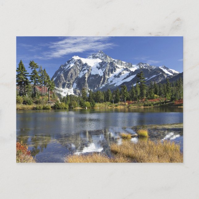 Carte Postale Amérique du Nord, Washington, Cascades. Mont Shuks (Devant)