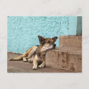 Carte Postale Amérique du Sud, Chili, Valparaiso. Allemand