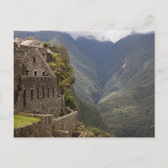 Carte Postale Amérique du Sud, Pérou, Machu Picchu. Ruines de pi (Devant)