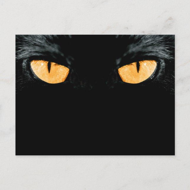 Carte Postale ami (Devant)