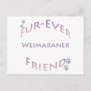 Carte Postale Ami pour toujours de Weimaraner