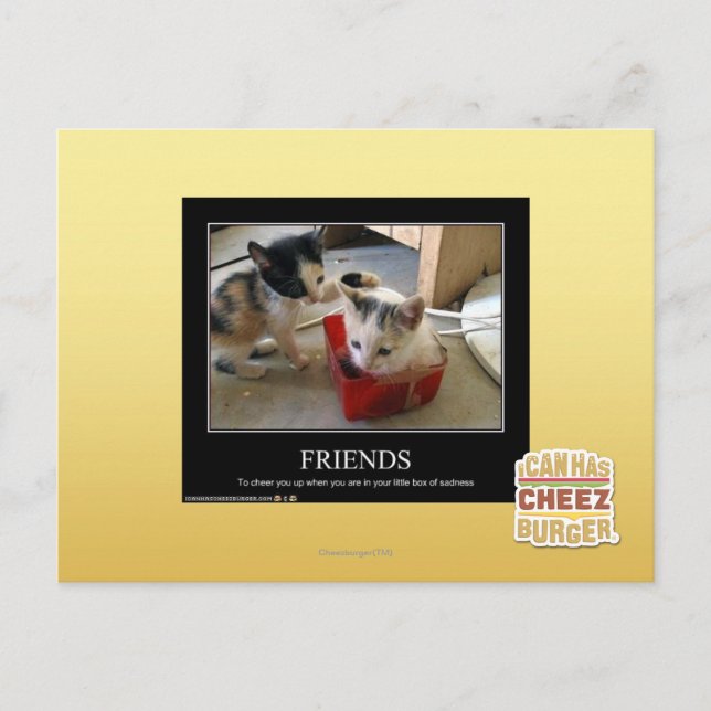 Carte Postale Amis (Devant)