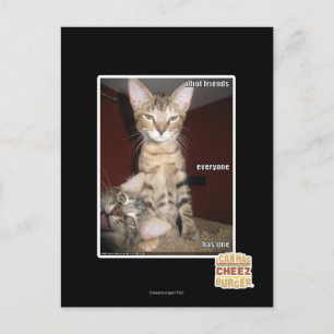 Carte Postale Amis Idiot