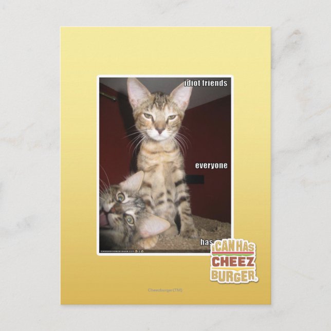Carte Postale Amis Idiot (Devant)