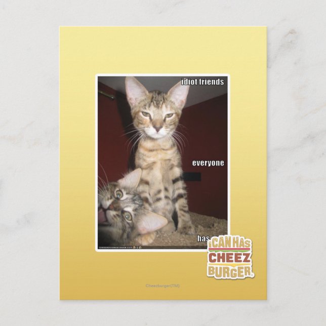 Carte Postale Amis Idiot (Devant)
