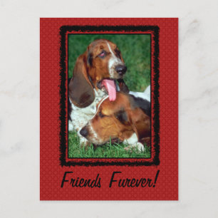 Carte Postale Amis pour toujours
