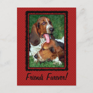 Carte Postale Amis pour toujours