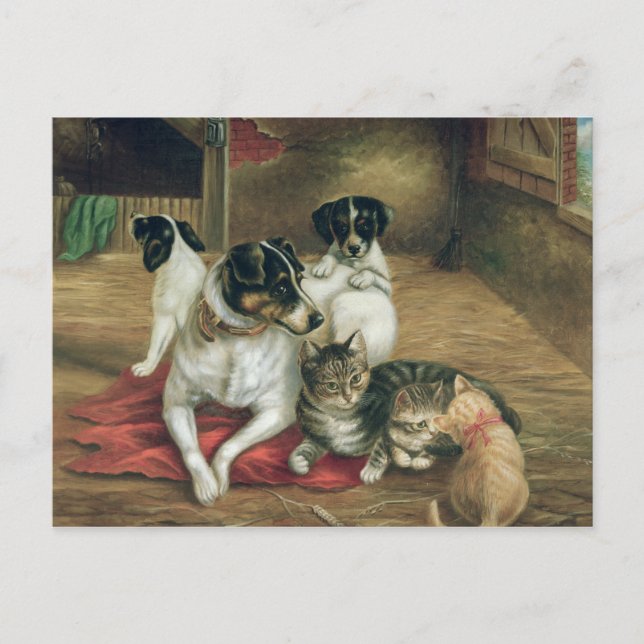 Carte Postale Amis stables (Devant)