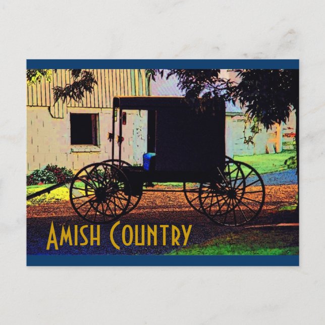 Carte postale Amish Buggy (Devant)