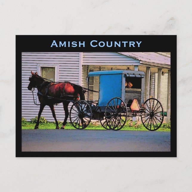 Carte postale Amish Buggy (Devant)