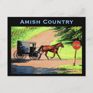 Carte postale Amish Buggy