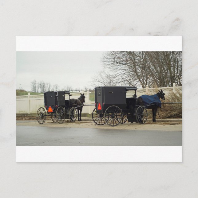 Carte Postale Amish Buggy "Parking Lot" (Devant)