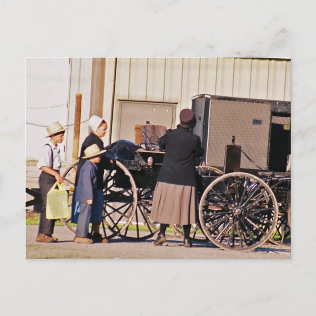 Carte postale Amish Chargement Buggy (Devant)