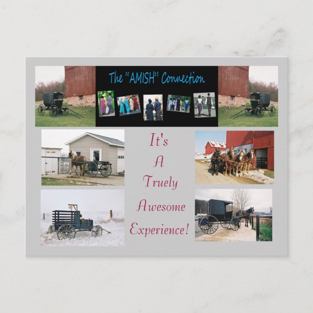 Carte postale "AMISH" Connection (Devant)