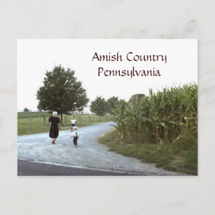 Carte Postale Amish Country Pennsylvania PA