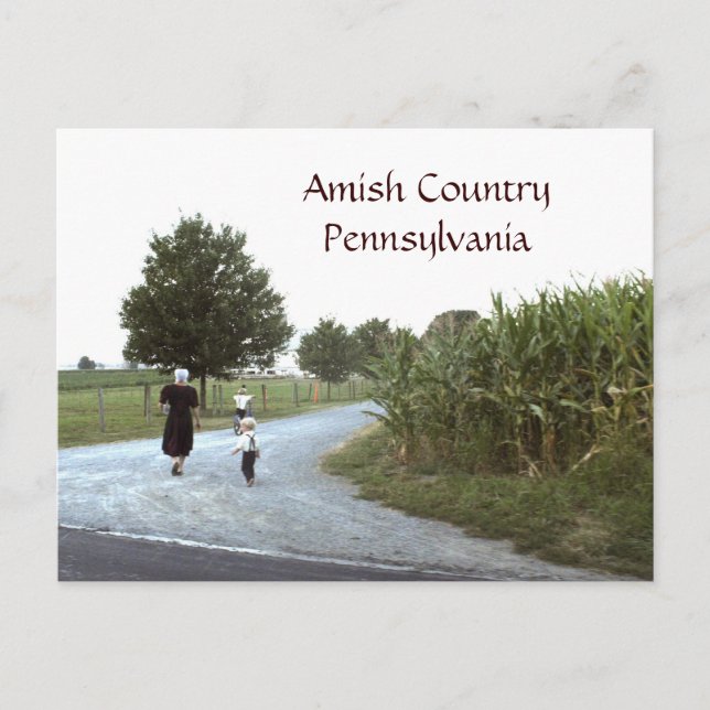 Carte Postale Amish Country Pennsylvania PA (Devant)