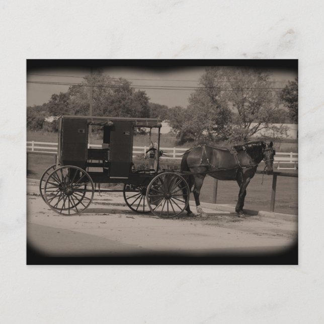 Carte Postale Amish Country Sugarcreek, Ohio (Devant)